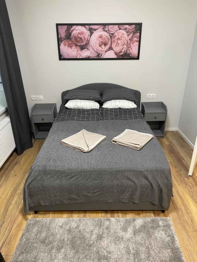 Vilnius Central Cozy Stay מראה חיצוני תמונה